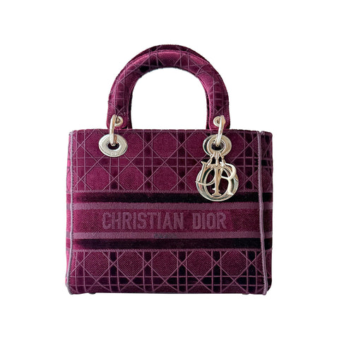 Louis Vuitton Damier Ebene Sabana Briefcase