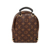 Louis Vuitton Palm Springs Mini Backpack