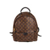 Louis Vuitton Palm Springs Backpack PM