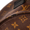 Louis Vuitton Palm Springs Backpack PM