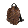 Louis Vuitton Palm Springs Backpack PM